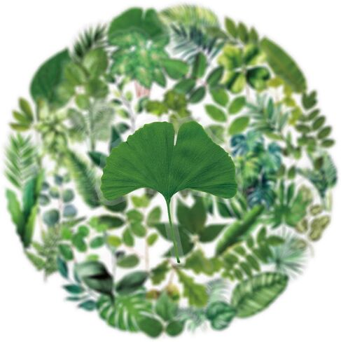 50PCS Forest Stickers PET Transparent Stickers Delious Food Decals Waterproof Decorative Decals for Scrapbook DIY Crafts Album Bullet Journal Planner Water Bottles Laptops (Forest) in Kuwait