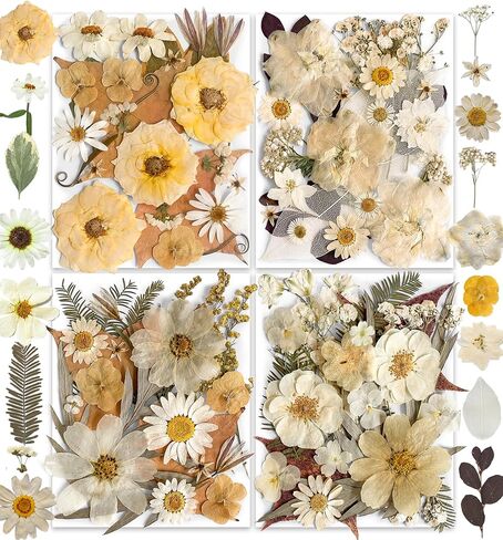 96PCS Vintage White Dried Pressed Flowers for Resin Craft - YouthBro Real Nature Flowers Set with 50 PCS Butterfly Stickers for DIY Scrapbook Art Floral Decors in Kuwait
