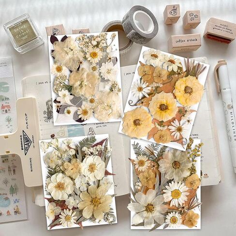 96PCS Vintage White Dried Pressed Flowers for Resin Craft - YouthBro Real Nature Flowers Set with 50 PCS Butterfly Stickers for DIY Scrapbook Art Floral Decors in Kuwait