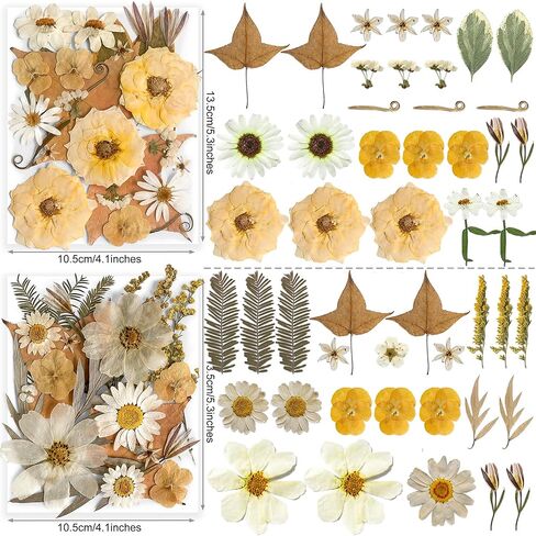 96PCS Vintage White Dried Pressed Flowers for Resin Craft - YouthBro Real Nature Flowers Set with 50 PCS Butterfly Stickers for DIY Scrapbook Art Floral Decors in Kuwait