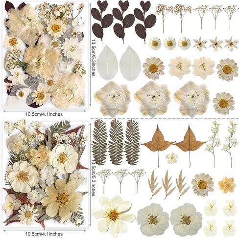 96PCS Vintage White Dried Pressed Flowers for Resin Craft - YouthBro Real Nature Flowers Set with 50 PCS Butterfly Stickers for DIY Scrapbook Art Floral Decors in Kuwait