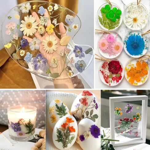 96PCS Vintage White Dried Pressed Flowers for Resin Craft - YouthBro Real Nature Flowers Set with 50 PCS Butterfly Stickers for DIY Scrapbook Art Floral Decors in Kuwait