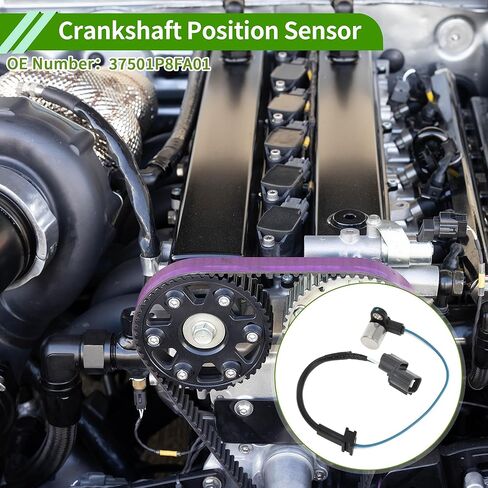 No.37501P8FA01 Crankshaft Position Sensor for Honda Odyssey 3.5 1999-2004 for Honda Pilot EX LX 3.5 2003-2004 Engine Crank CKP Sensor 1 Pc in Saudi Arabia