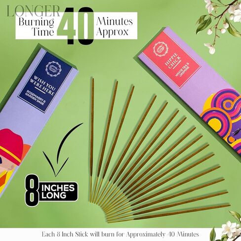 Raajsee Natural Incense Sticks with Insence Holder- Pack of 6 Organic Inscent -120 Insense Sticks, Non Toxic Clean Burning, Boho Gift Set, Sage,Apple Pumpkin,Coconut, Coffee,Rosemary Patchouli in Saudi Arabia