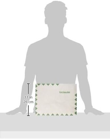 Quality Park R1590 Survivor Tyvek USPS First Class Mailer, 10 x 13, White, Pack of 100 in Kuwait