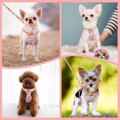 Lukovee Puppy Harness and Leash Set, No Pull Lightweight Soft Suede Adjustable Pet Harness Vest with Snap Buckle for Puppy Small and Medium Size Dog (Pink-XXS) in Kuwait