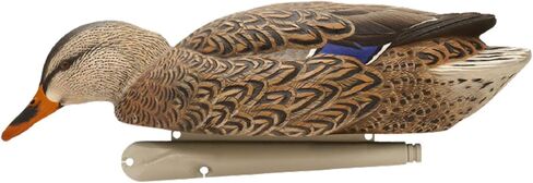 أفخاخ صيد عائمة متينة للغاية وواقعية للغاية من Avian-X Topflight Backwater Mallards، عبوة من 6 قطع، AVX8070 in Saudi Arabia
