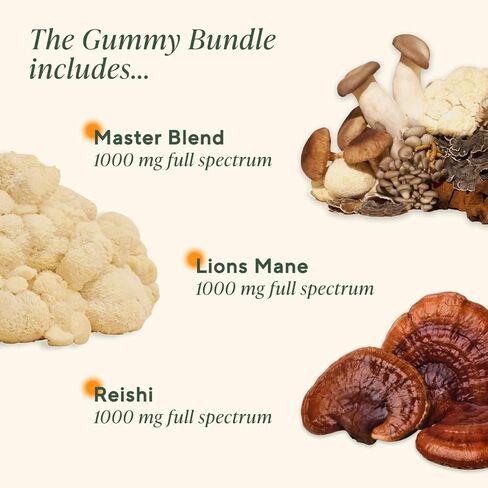 Om Mushroom Superfood - وقود الدماغ + العلكة - دعم الذاكرة والتركيز مع عرف الأسد والريشي - مكملات علكة التوت، 28 حصة in Saudi Arabia