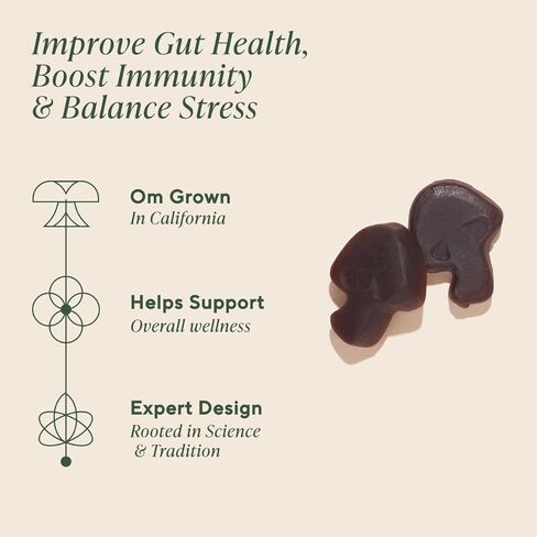 Om Mushroom Superfood - وقود الدماغ + العلكة - دعم الذاكرة والتركيز مع عرف الأسد والريشي - مكملات علكة التوت، 28 حصة in Saudi Arabia