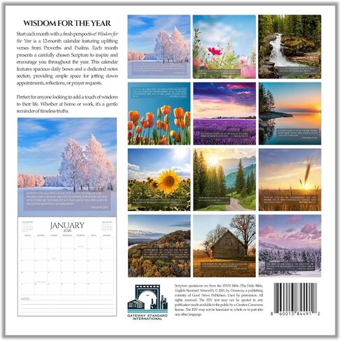 Christian Calendar 2026 – Monthly Bible Verse Wall Calendar | Wisdom For The Year From Proverbs & Psalms | All Bible Quotes from the ESV | 12" x 24" Premium Scripture Calendar in Saudi Arabia