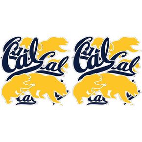 Desert Cactus University of California Berkeley Golden Bears Stickers Vinyl Decals Laptop Water Bottle Car Scrapbook T1 (Type 1-1) in Saudi Arabia