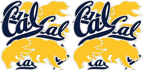 Desert Cactus University of California Berkeley Golden Bears Stickers Vinyl Decals Laptop Water Bottle Car Scrapbook T1 (Type 1-1) in Saudi Arabia