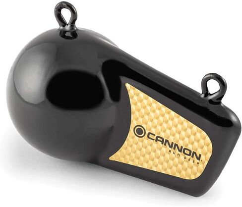 Cannon 2295002 Flash Weight, 4-Pound in Saudi Arabia