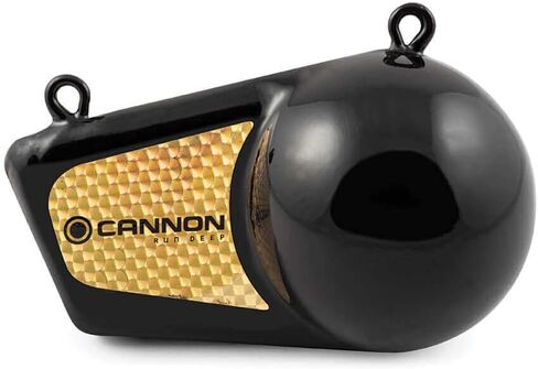 Cannon 2295002 Flash Weight, 4-Pound in Saudi Arabia