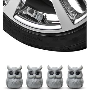 Little Owl Tire Valve Stem Caps – Cute Wheel Decor – Set of 4 – Fits Standard Schrader Valve Stems in Kuwait