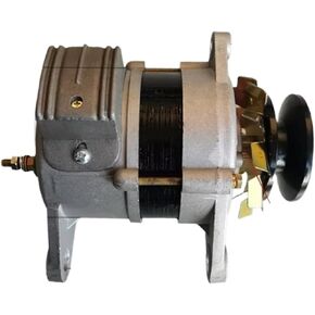 220V Brushless Alternator With Pure Copper Windings For Household Power Generation(800W) in Saudi Arabia
