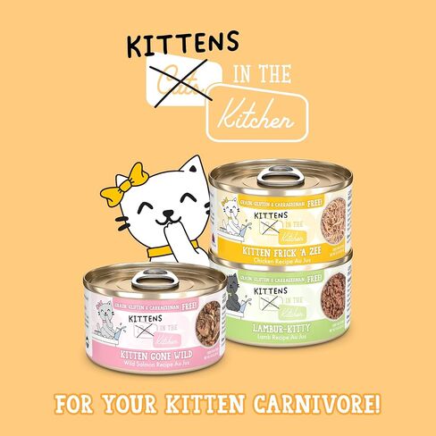 Weruva B.F.F. Kitten Cuddle Buds, 2.8oz Can (Pack of 12) in Kuwait
