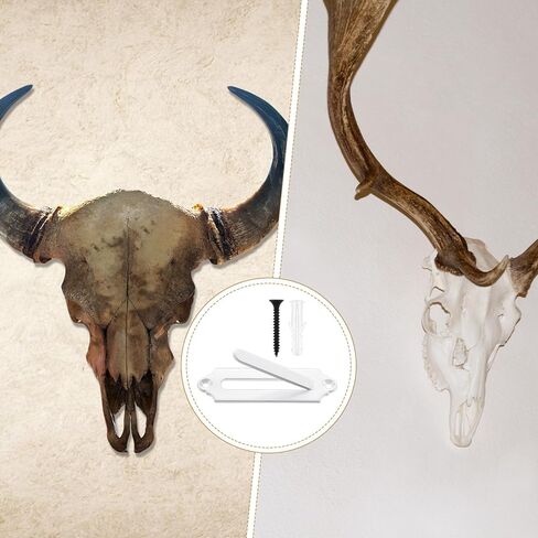 شماعة جمجمة أوروبية معدنية على شكل جمجمة أوروبية لصيد الغزلان جمجمة جبل قرن الوعل جمجمة عاهرة للغزلان الظباء الصغيرة لعبة حيوانات الغزلان دعامة شماعات كاملة مع مسامير، أسود in Kuwait