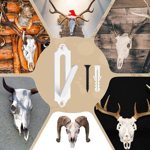 شماعة جمجمة أوروبية معدنية على شكل جمجمة أوروبية لصيد الغزلان جمجمة جبل قرن الوعل جمجمة عاهرة للغزلان الظباء الصغيرة لعبة حيوانات الغزلان دعامة شماعات كاملة مع مسامير، أسود in Kuwait
