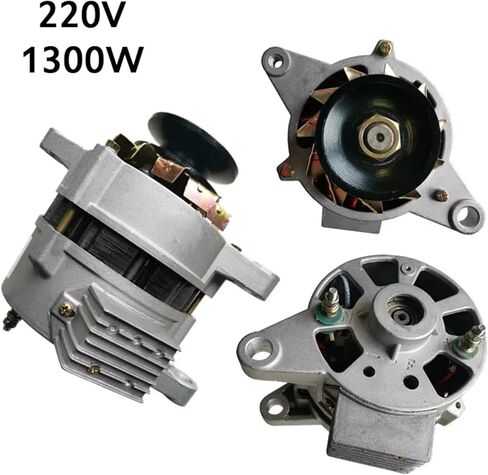 220V Brushless Alternator With Pure Copper Windings For Household Power Generation(800W) in Saudi Arabia