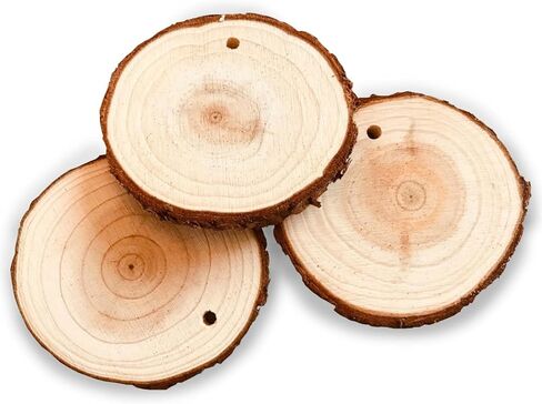 2 Inch Wood Slices Wooden Discs for Crafts with Holes, 80 Pcs 2-2.4 Inches, with 2 Ropes in Saudi Arabia
