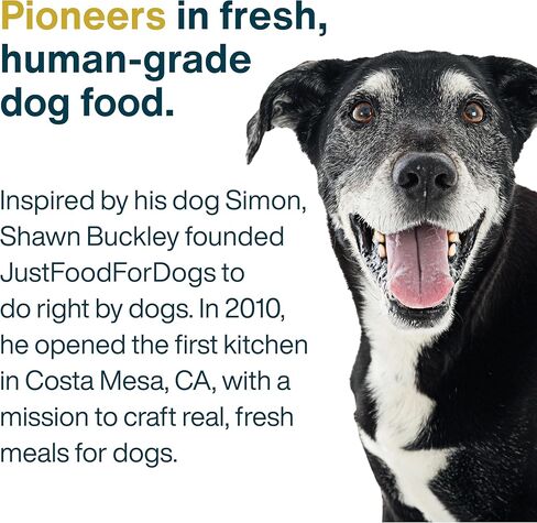 JustFoodForDogs Frozen Fresh Dog Food, Complete Meal or Dog Food Topper, Chicken & White Rice Recipe, 18 oz (Pack of 21) in Kuwait