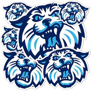 Desert Cactus Villanova University Sticker Stickers Wildcats Vinyl Decals Laptop Water Bottle Car Scrapbook T3 (Type 3-1) in Kuwait