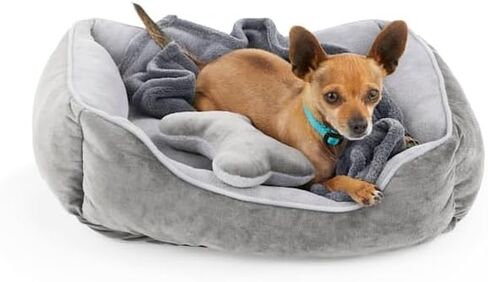 EveryYay Essentials Snooze Fest Dog Bed Bundle, 22" L X 18" W, Pink in Saudi Arabia