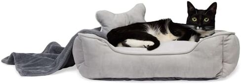EveryYay Essentials Snooze Fest Dog Bed Bundle, 22" L X 18" W, Pink in Saudi Arabia