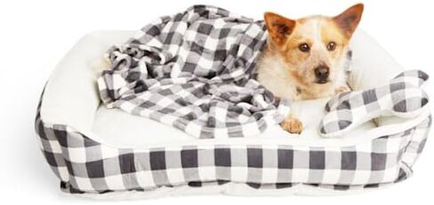 EveryYay Essentials Snooze Fest Dog Bed Bundle, 22" L X 18" W, Pink in Saudi Arabia
