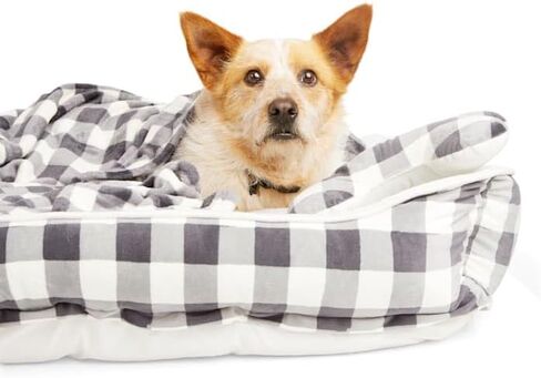 EveryYay Essentials Snooze Fest Dog Bed Bundle, 22" L X 18" W, Pink in Saudi Arabia