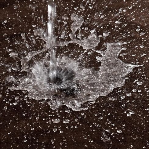 Waterproof Blanket for Bed Couch Sofa, Soft Liquid Pee Proof Pet Blanket for Dog Puppy Cat, Reversible Sherpa Fleece Blanket for Furniture Protector (Dark Purple, 30x40 inches) in Kuwait