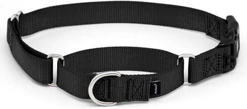 PetSafe Martingale Dog Collar with Quick-Snap Buckle - Medium, 1 Inch, Red in Kuwait