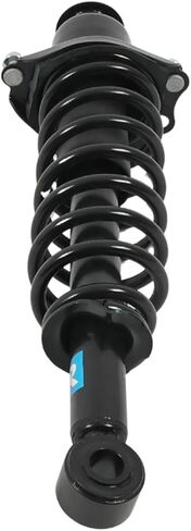 171373R Rear Suspension Strut and Coil Spring Assembly Compatible with Corolla Vibe Matrix 2003-2008 Replace 55S15372 in Saudi Arabia