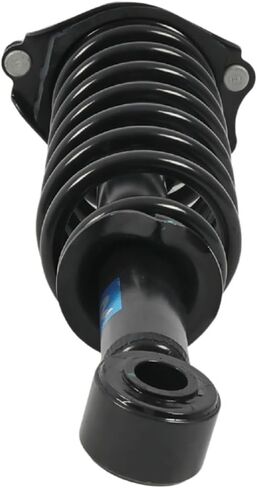 171373R Rear Suspension Strut and Coil Spring Assembly Compatible with Corolla Vibe Matrix 2003-2008 Replace 55S15372 in Saudi Arabia