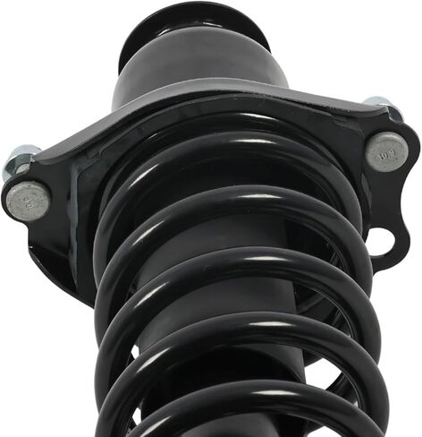 171373R Rear Suspension Strut and Coil Spring Assembly Compatible with Corolla Vibe Matrix 2003-2008 Replace 55S15372 in Saudi Arabia