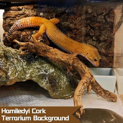 Cork Terrarium Background Natural Cork Bark Backdrop Reptile Climbing Mat Habitat Decor for Spider Lizard Chamelon Turtle Beared Dragon(2 PCS) in Saudi Arabia