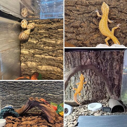 Cork Terrarium Background Natural Cork Bark Backdrop Reptile Climbing Mat Habitat Decor for Spider Lizard Chamelon Turtle Beared Dragon(2 PCS) in Saudi Arabia