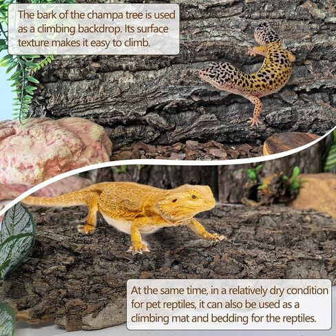 Cork Terrarium Background Natural Cork Bark Backdrop Reptile Climbing Mat Habitat Decor for Spider Lizard Chamelon Turtle Beared Dragon(2 PCS) in Saudi Arabia