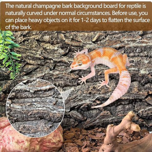 Cork Terrarium Background Natural Cork Bark Backdrop Reptile Climbing Mat Habitat Decor for Spider Lizard Chamelon Turtle Beared Dragon(2 PCS) in Saudi Arabia