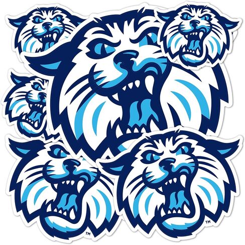 ملصقات ملصقات جامعة صبار الصحراء فيلانوفا القطط البرية شارات الفينيل زجاجة مياه للكمبيوتر المحمول سجل قصاصات السيارة T3 (النوع 3-1) in Kuwait