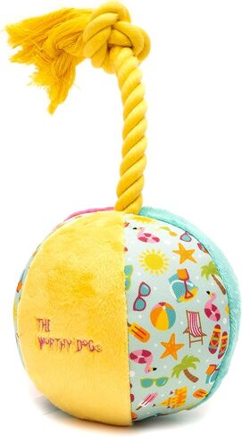 The Worthy Dog Cactus Toy | Durable & Chew-Resistant | Engaging Play with Multiple Squeakers | Made with Safe, Non-Toxic Material | Perfect for Indoor & Outdoor Play | Tug & Toss & Play in Kuwait