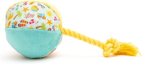The Worthy Dog Cactus Toy | Durable & Chew-Resistant | Engaging Play with Multiple Squeakers | Made with Safe, Non-Toxic Material | Perfect for Indoor & Outdoor Play | Tug & Toss & Play in Kuwait