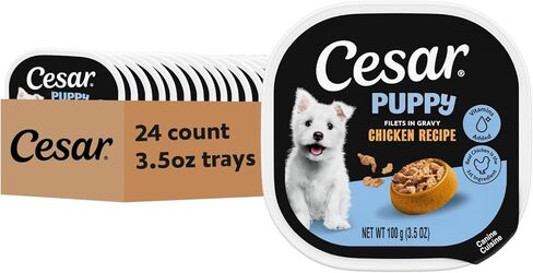 CESAR Puppy Soft Wet Dog Food Classic Loaf in sauce Chicken & Beef Recipe, 3.5 Ounce (Pack of 24) Easy Peel Trays in Kuwait