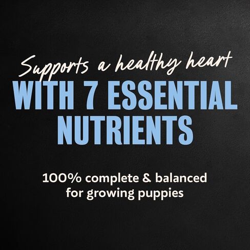 CESAR Puppy Soft Wet Dog Food Classic Loaf in sauce Chicken & Beef Recipe, 3.5 Ounce (Pack of 24) Easy Peel Trays in Kuwait