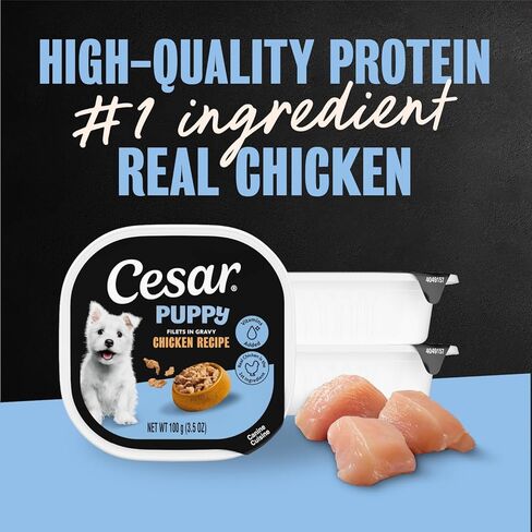 CESAR Puppy Soft Wet Dog Food Classic Loaf in sauce Chicken & Beef Recipe, 3.5 Ounce (Pack of 24) Easy Peel Trays in Kuwait