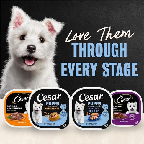 CESAR Puppy Soft Wet Dog Food Classic Loaf in sauce Chicken & Beef Recipe, 3.5 Ounce (Pack of 24) Easy Peel Trays in Kuwait
