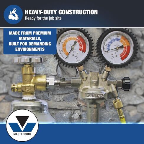 Mastercool (53010-AUT Silver Pressure Test Regulator Kit with R134a Coupler, Black in Kuwait