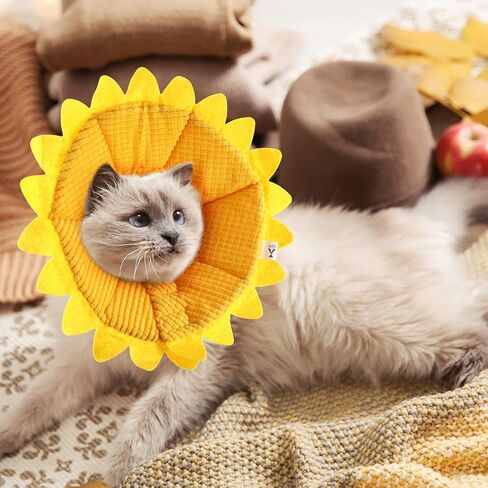 Sunflower Cat Recovery Collar Soft Cone Cotton Pet Cone Adjustable Sunflower Elizabeth Collar Postoperative Protection for Cats and Dogs(Medium) in Kuwait