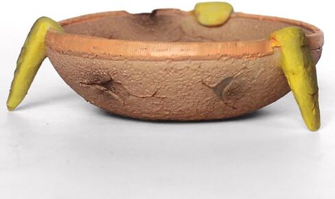طبق طعام/ماء على شكل جذع شجرة للبرمائيات والزواحف وغيرها من المخلوقات الصغيرة، مصنوع من الراتنج الممتاز غير السام - حجم صغير in Kuwait